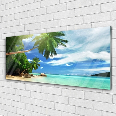 Skleneny obraz Palma pláž more krajina