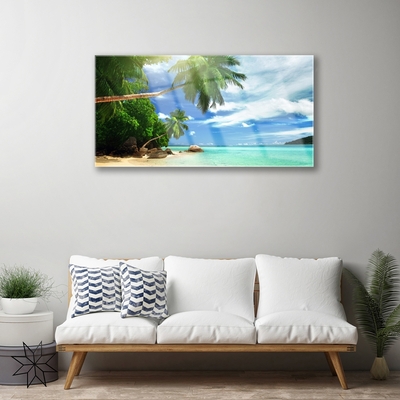 Skleneny obraz Palma pláž more krajina