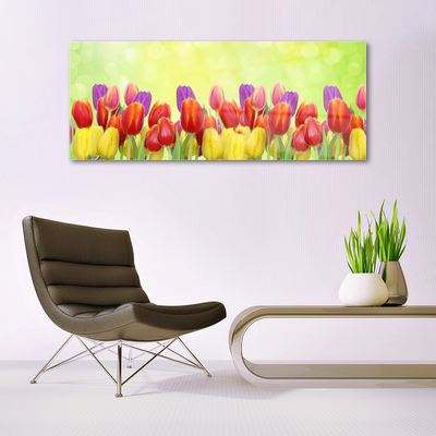 Skleneny obraz Tulipány kvety rastlina