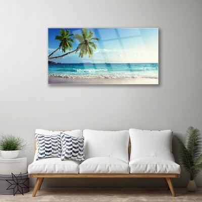 Skleneny obraz More pláž palma krajina