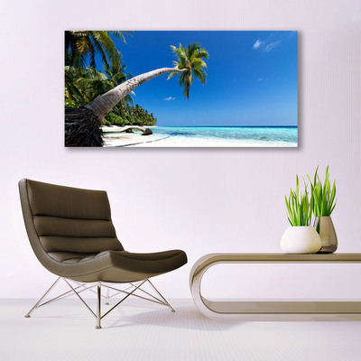 Skleneny obraz Pláž palma more krajina