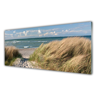 Skleneny obraz Pláž more tráva krajina
