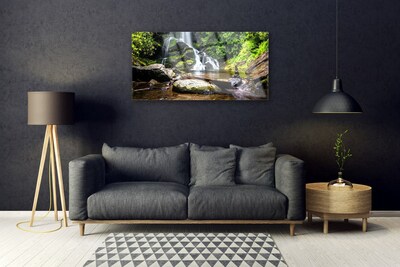 Skleneny obraz Vodopád kamene les príroda