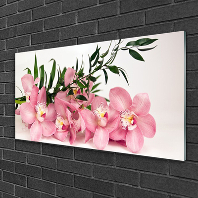 Skleneny obraz Orchidea kvety kúpele