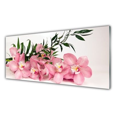 Skleneny obraz Orchidea kvety kúpele