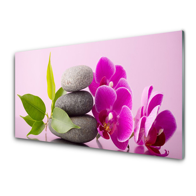 Skleneny obraz Orchidea vstavač kamene