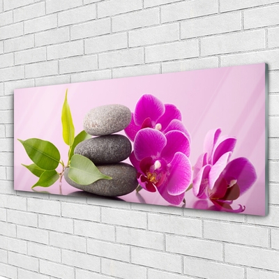 Skleneny obraz Orchidea vstavač kamene