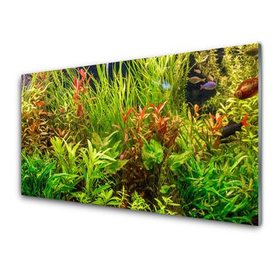 Skleneny obraz Akvárium rybičky rastliny