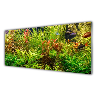 Skleneny obraz Akvárium rybičky rastliny