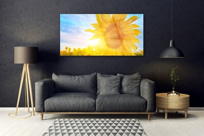 Skleneny obraz Slnečnica kvet slnko