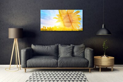 Skleneny obraz Slnečnica kvet slnko