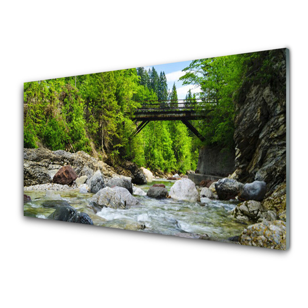 Skleneny obraz Drevený most v lese