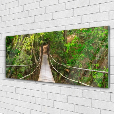 Skleneny obraz Most džungľa tropický les