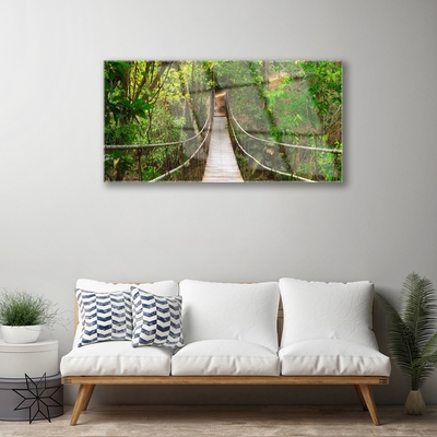 Skleneny obraz Most džungľa tropický les