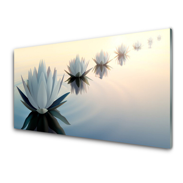 Skleneny obraz Vodné lilie biely lekno