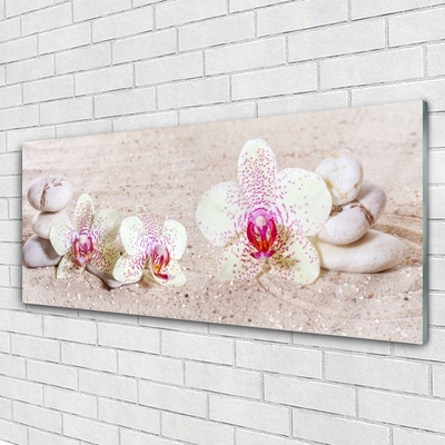 Skleneny obraz Orchidea kamene zen písek