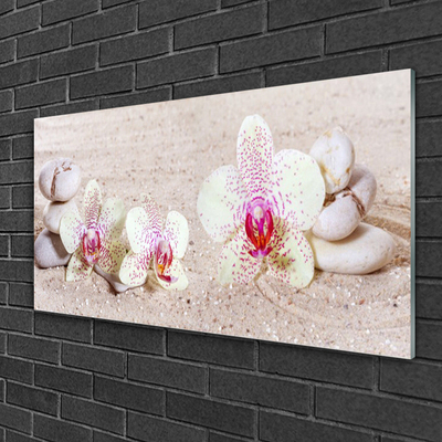 Skleneny obraz Orchidea kamene zen písek