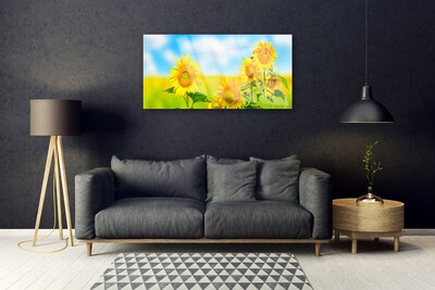 Skleneny obraz Slnečnica kvety príroda