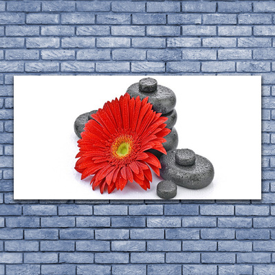 Skleneny obraz Kvety gerbery kamene zen