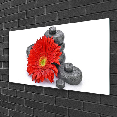 Skleneny obraz Kvety gerbery kamene zen