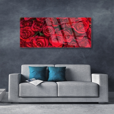 Skleneny obraz Červené ruže kvety príroda