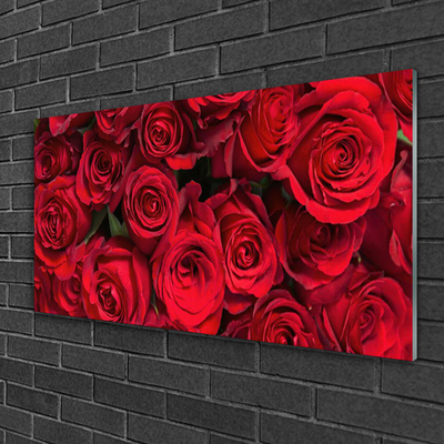 Skleneny obraz Červené ruže kvety príroda