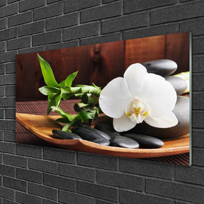 Skleneny obraz Kamene zen biela orchidea