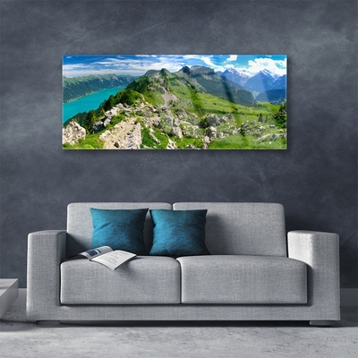 Skleneny obraz Lúka hory príroda príroda