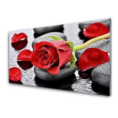 Skleneny obraz Ruže kvet kamene zen