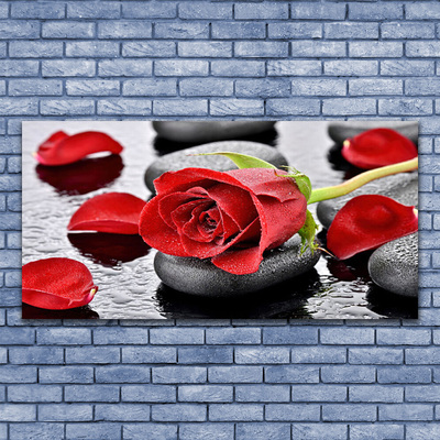 Skleneny obraz Ruže kvet kamene zen