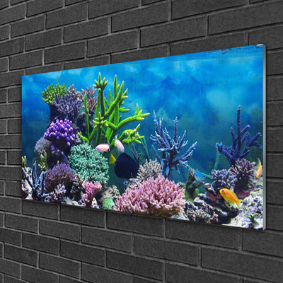 Skleneny obraz Akvárium rybičky pod vodou