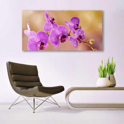 Skleneny obraz Orchidea výhonky kvety príroda
