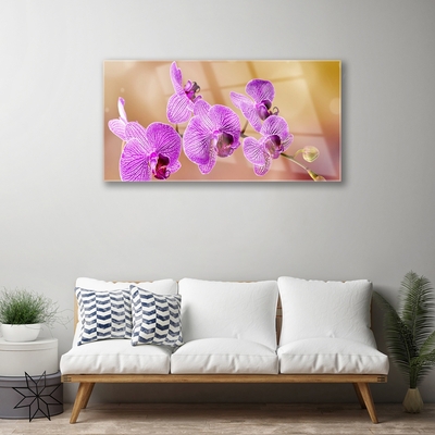 Skleneny obraz Orchidea výhonky kvety príroda