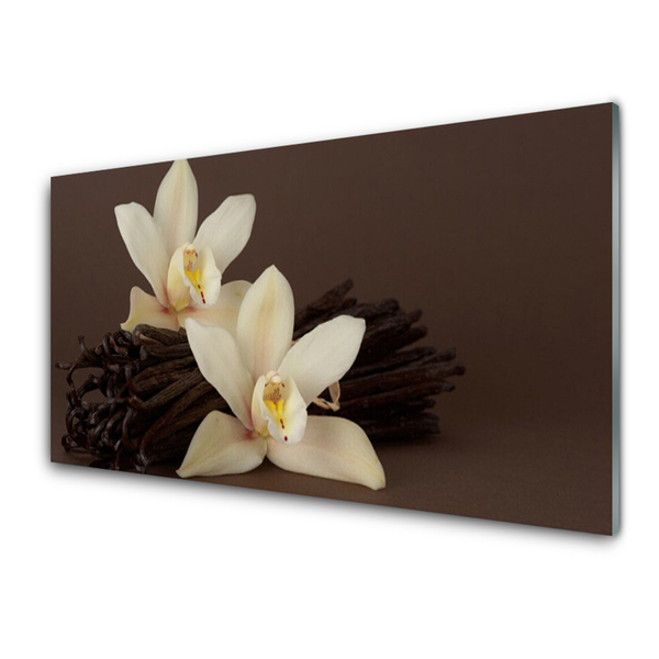 Skleneny obraz Kvety vanilky do kuchyne