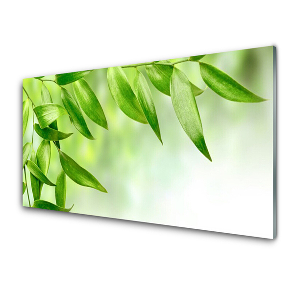 Skleneny obraz Zelené listy príroda