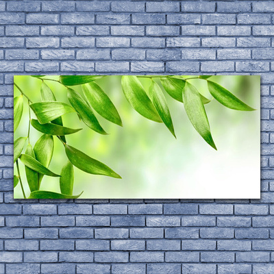 Skleneny obraz Zelené listy príroda