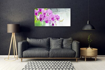 Skleneny obraz Orchidey kvapky príroda