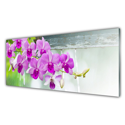 Skleneny obraz Orchidey kvapky príroda