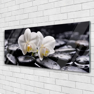 Skleneny obraz Kamene zen biela orchidea