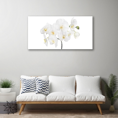 Skleneny obraz Biela orchidea kvety
