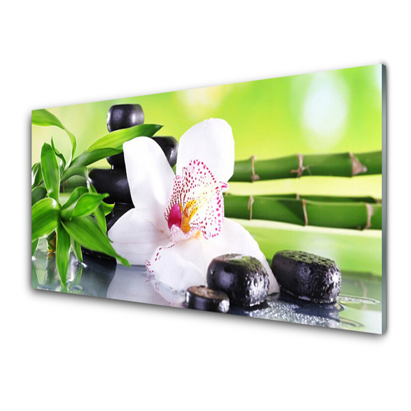 Skleneny obraz Orchidea kamene zen bambus