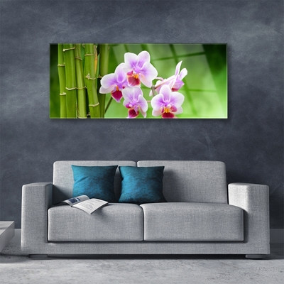 Skleneny obraz Bambus orchidea kvety zen