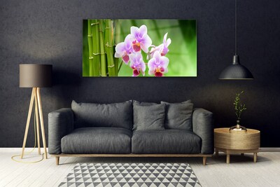 Skleneny obraz Bambus orchidea kvety zen