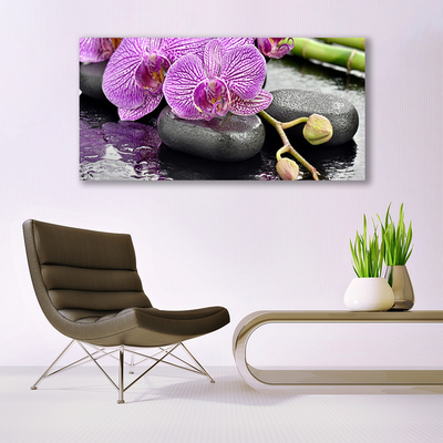 Skleneny obraz Kamene zen orchidea kúpele