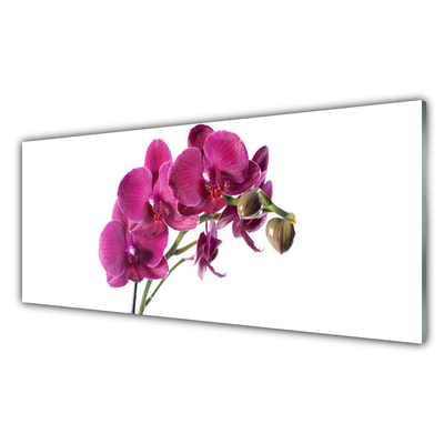 Skleneny obraz Orchidea kvety príroda