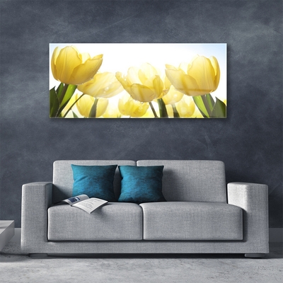 Skleneny obraz Tulipány kvety lúče