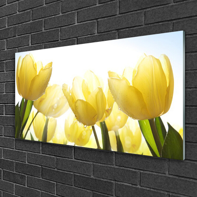 Skleneny obraz Tulipány kvety lúče