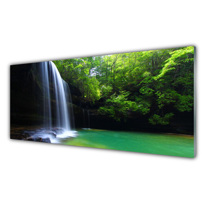 Skleneny obraz Vodopád príroda les jazero