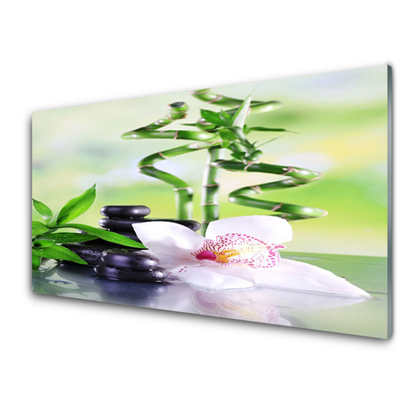 Skleneny obraz Orchidea bambus zen kúpele