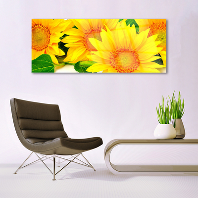 Skleneny obraz Slnečnica kvet príroda